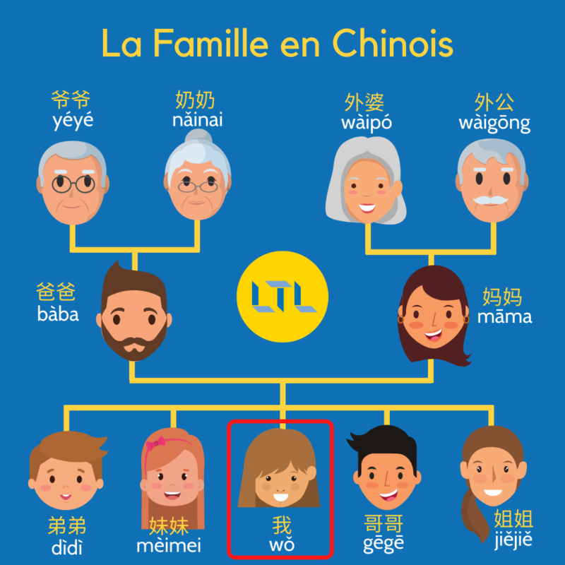 famille en chinois - arbre généalogique de base