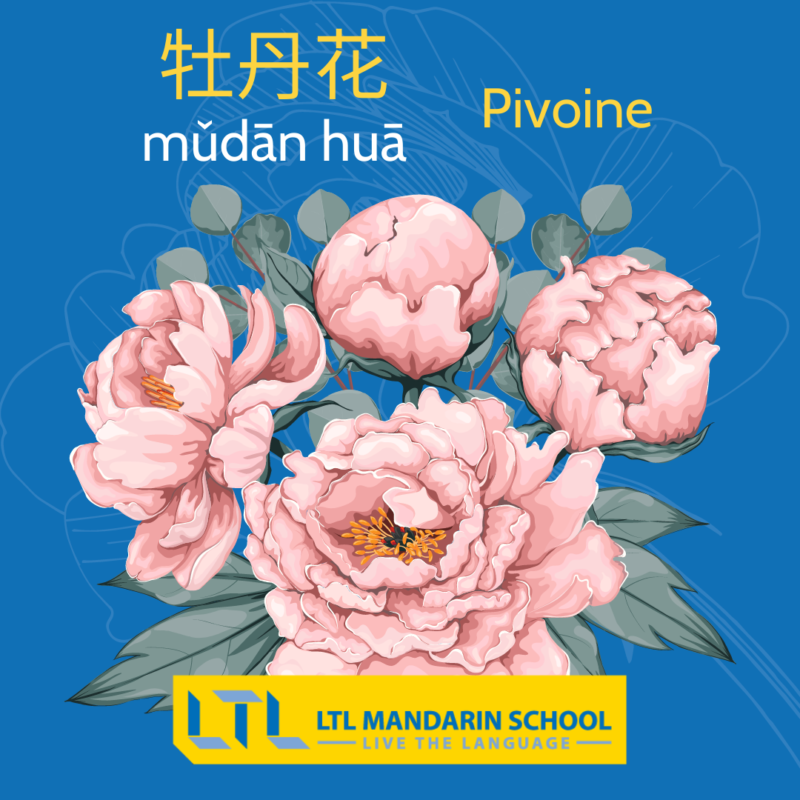 fleurs en chinois / plantes en chinois