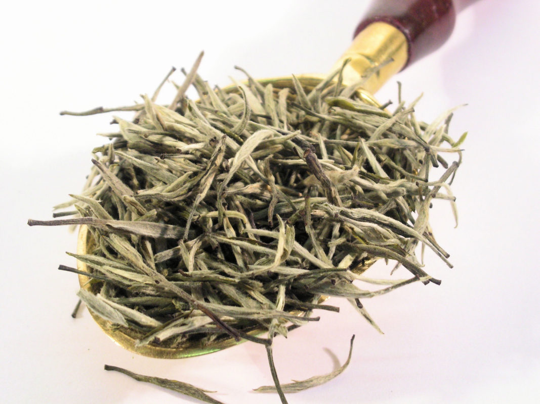 Le thé en Chine : thé blanc Bai Hao Yin Zhen 